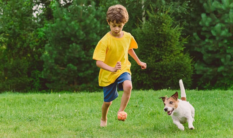 enfant qui joue avec son chien