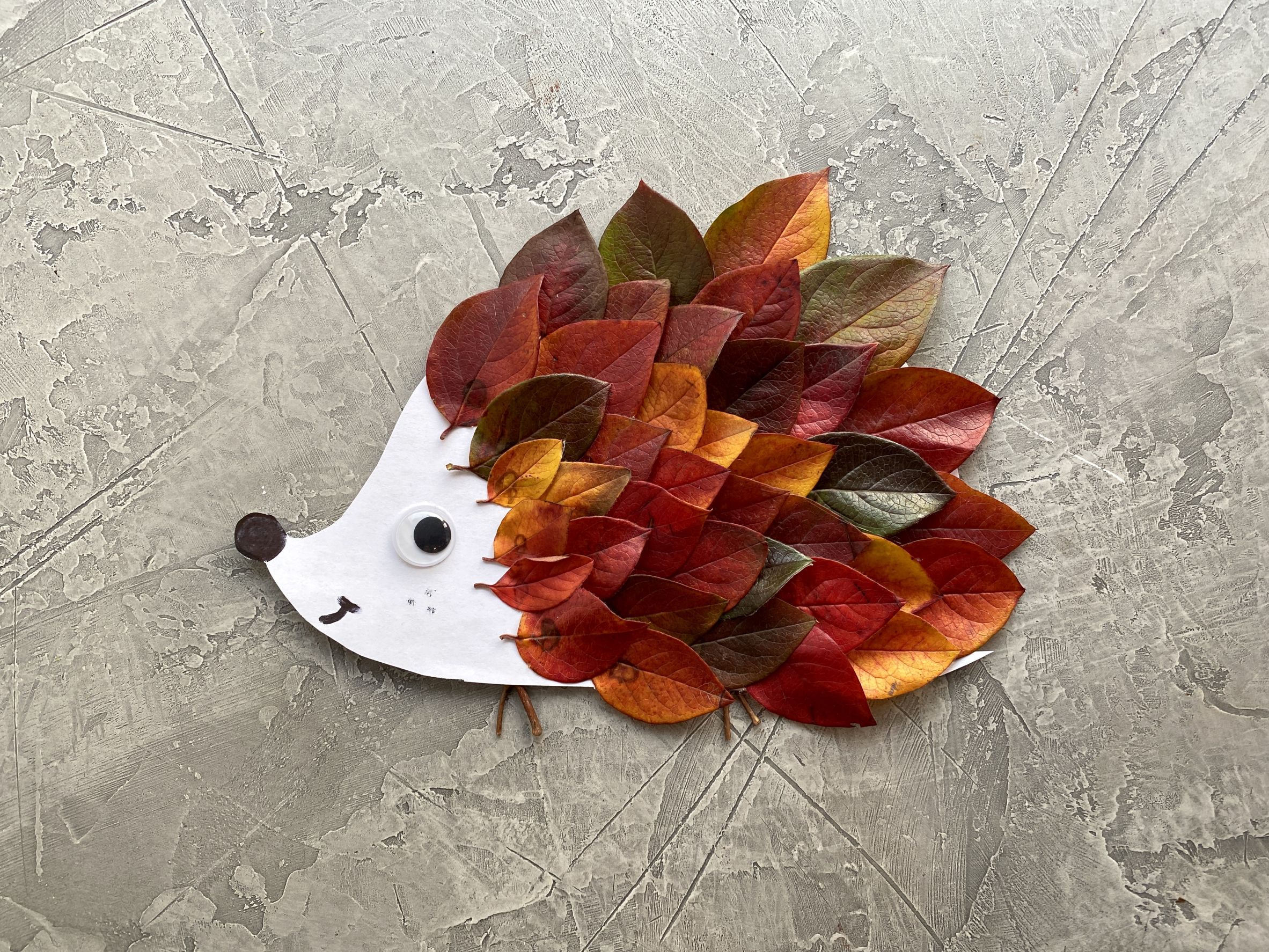 Bricolage d'automne avec des feuilles d'arbre : le plein d'idées