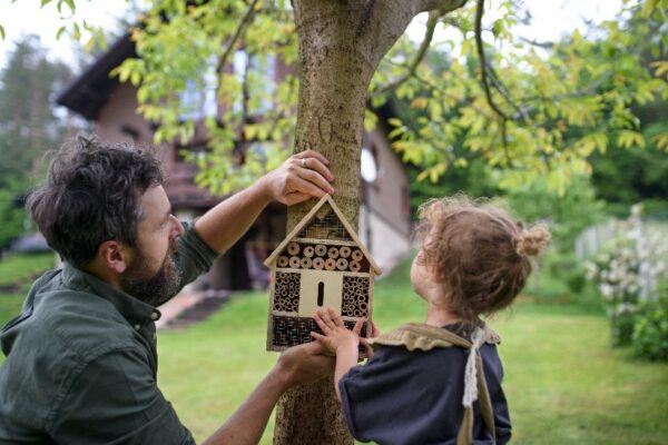 Comment Créer Un Jardin Qui Attire La Faune : Des Idées à Mettre En ...