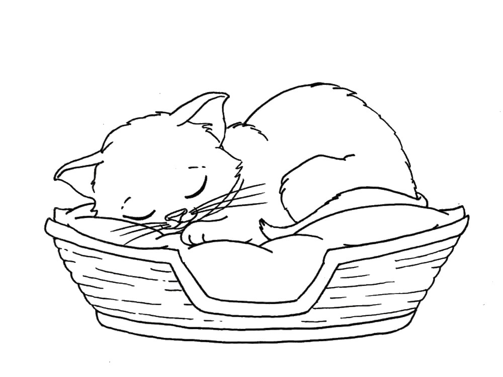 Coloriage chat : 50 dessins à imprimer gratuitement