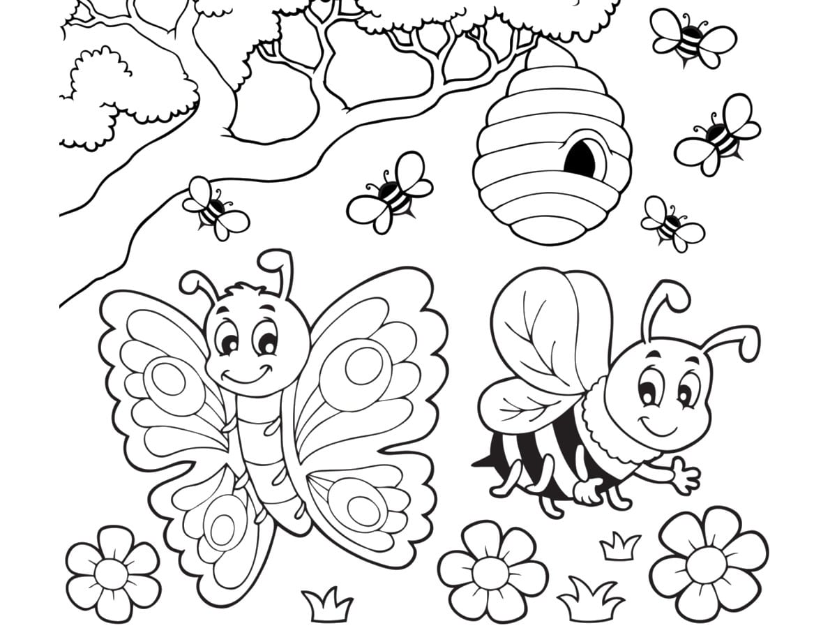 Coloriage papillon : 75 dessins à imprimer