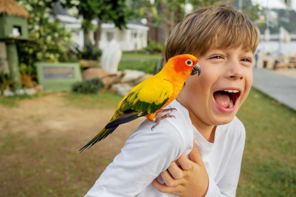 garçon au zoo avec un oiseau sur l'épaule