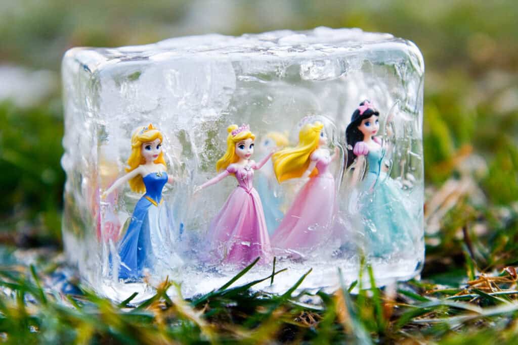 bloc de glace avec des figurines de princesse enfermées